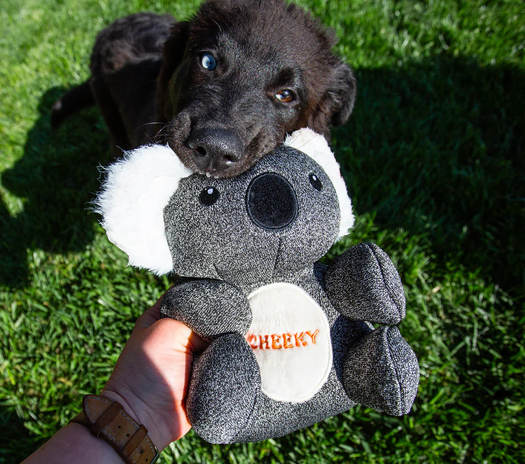 Dog chewing on Kokos koala plush toy