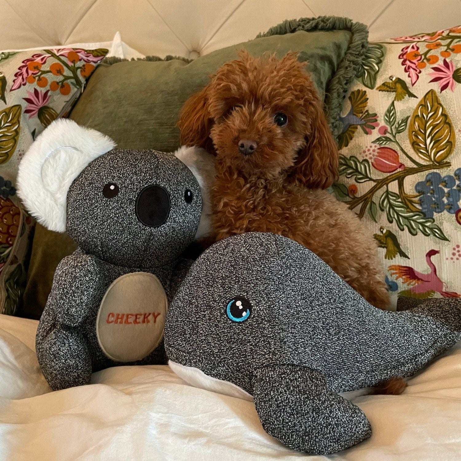 Pack Trio : Ellie, Kokos et Finley.