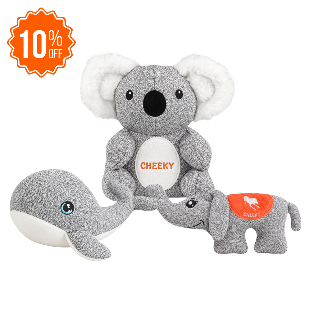 Pack Trio : Ellie, Kokos et Finley.