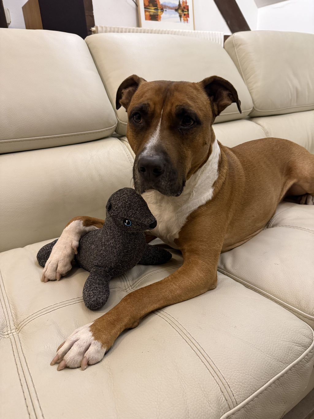 Sailor, the Goofy Guardian 🦭