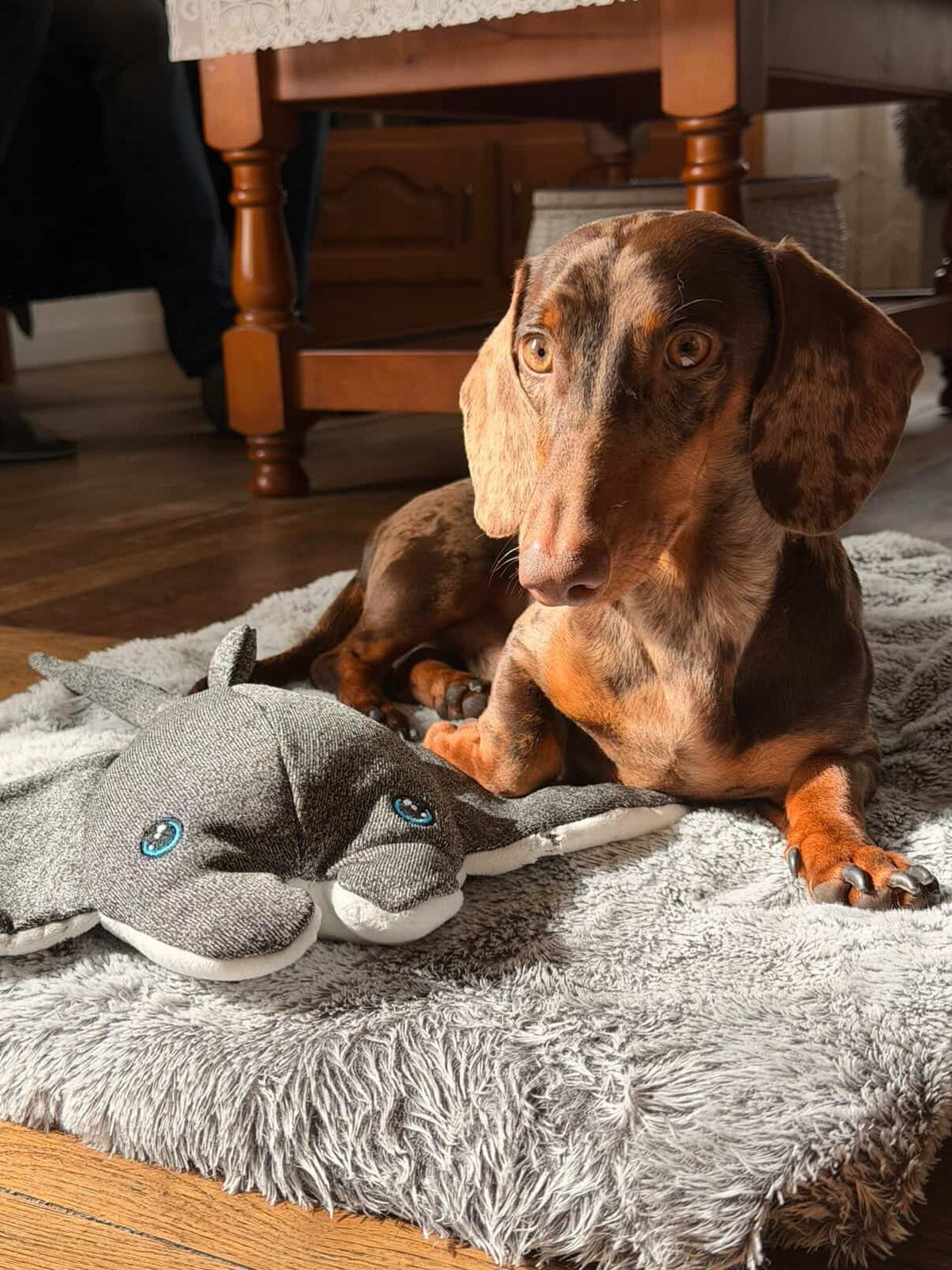 Cheeky Dog Toys, the most durable and tough toy for chewers.