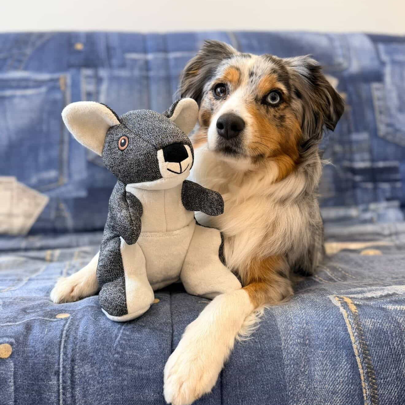 Joey, the Clever Stasher 🦘 – Cheeky Dog Toys, the most durable