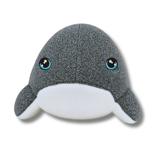 Frontal view of Finley