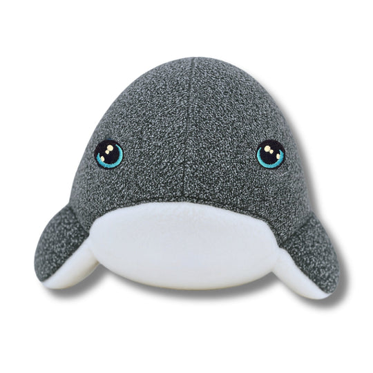 Frontal view of Finley