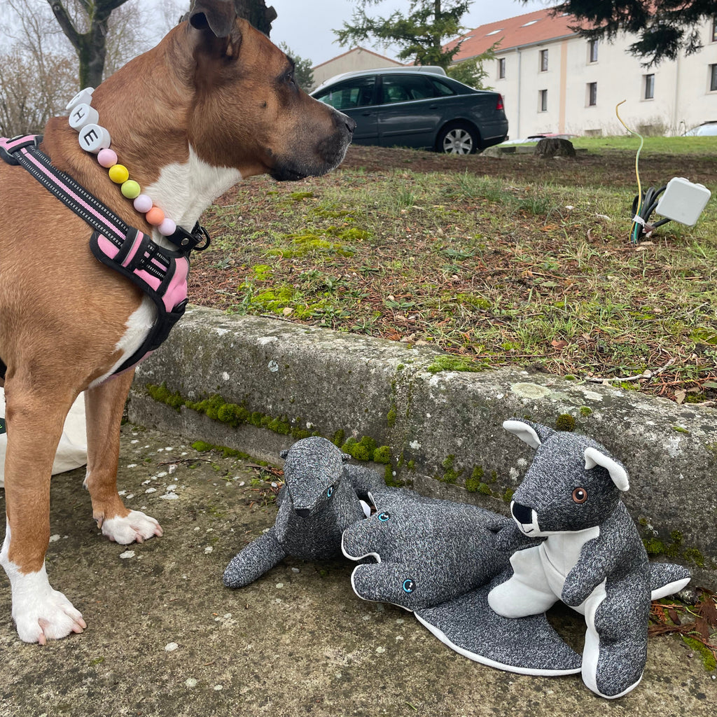 NEW Trio Pack : Joey, Raya & Sailor