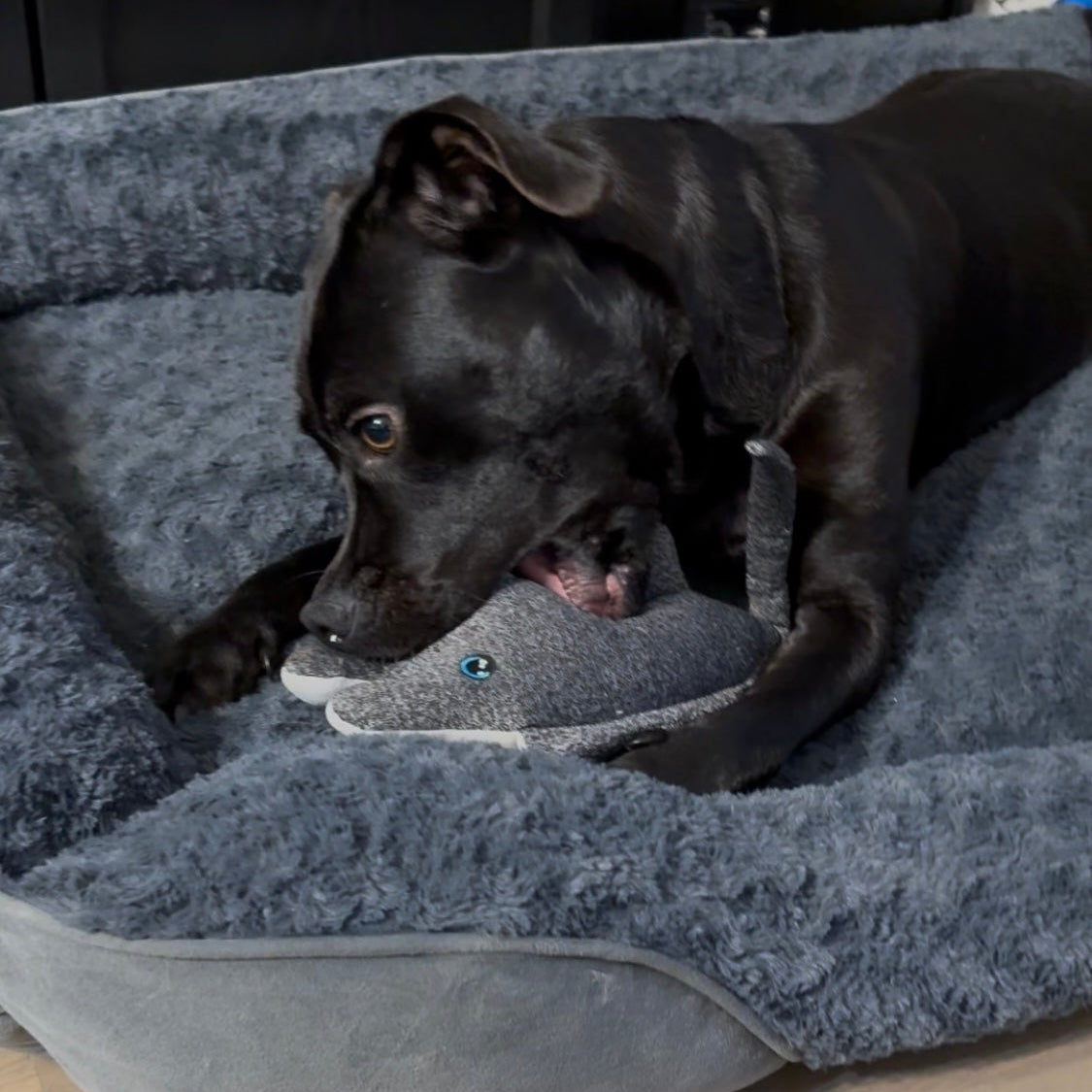 Raya, the Crinkle Temptress