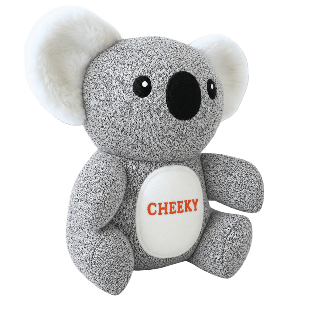 Kokos, the wild chewer 🐨