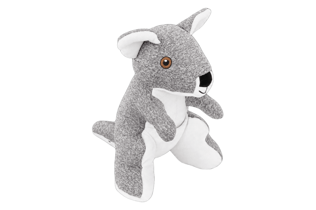 Joey, le Gardien de Friandises🦘