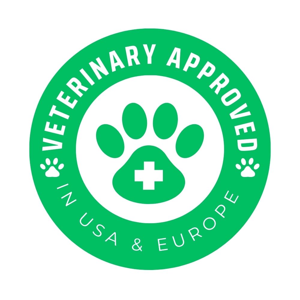 Sailor, the Goofy Guardian 🦭