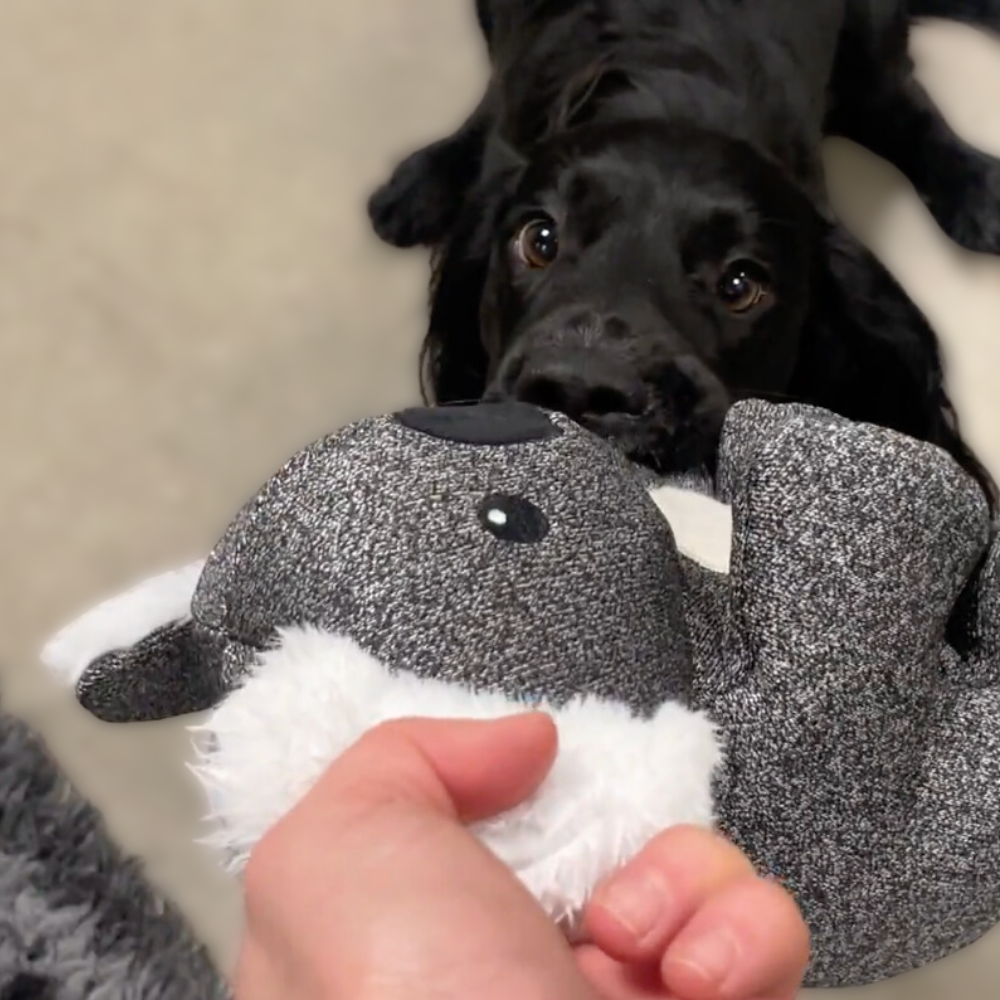 Cheeky Dog Toys, the most durable and tough toy for chewers.