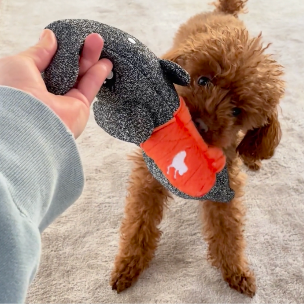 Cheeky Dog Toys, the most durable and tough toy for chewers.
